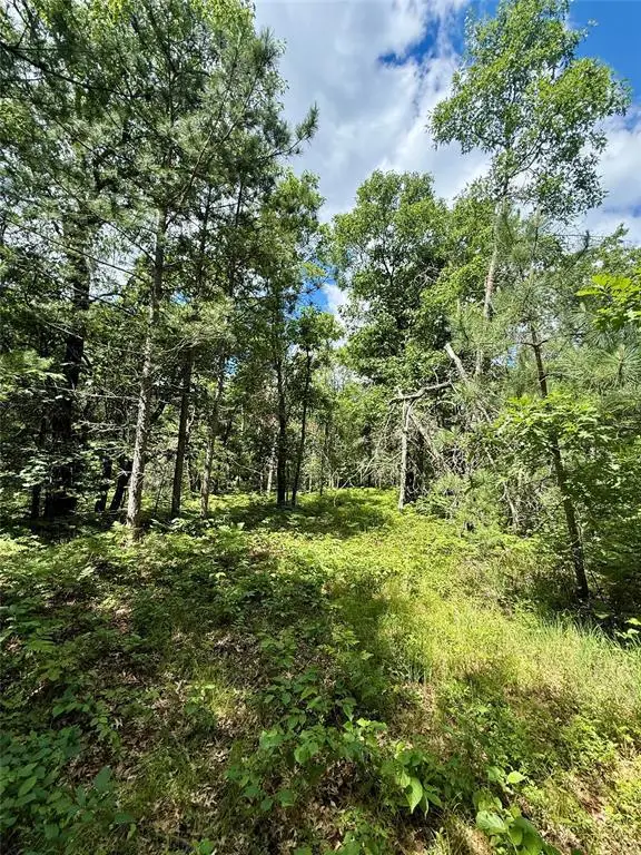 0 St Croix Trail, Minong, WI 54859 - #1