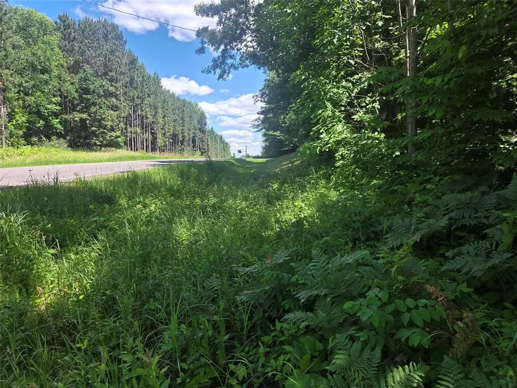 TBD CTY RD G, Comstock, WI 54826 - #1