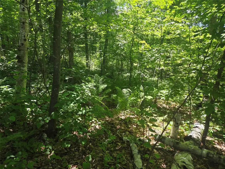 TBD CTY RD G, Comstock, WI 54826 - #2