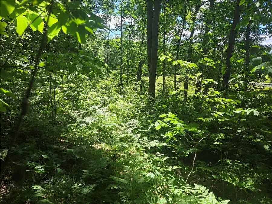 TBD CTY RD G, Comstock, WI 54826 - #3