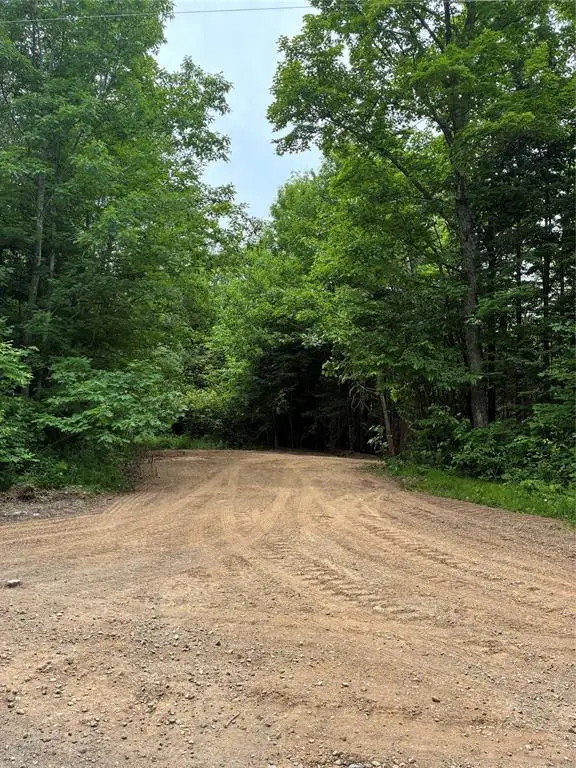Lot 5 Uncle Toms Road, Loretta, WI 54896 - #1