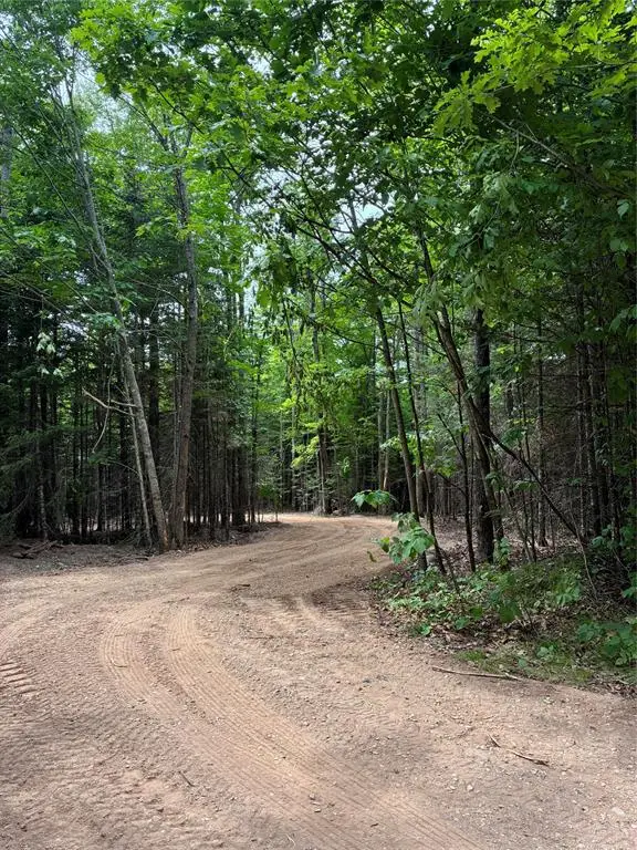 Lot 5 Uncle Toms Road, Loretta, WI 54896 - #2
