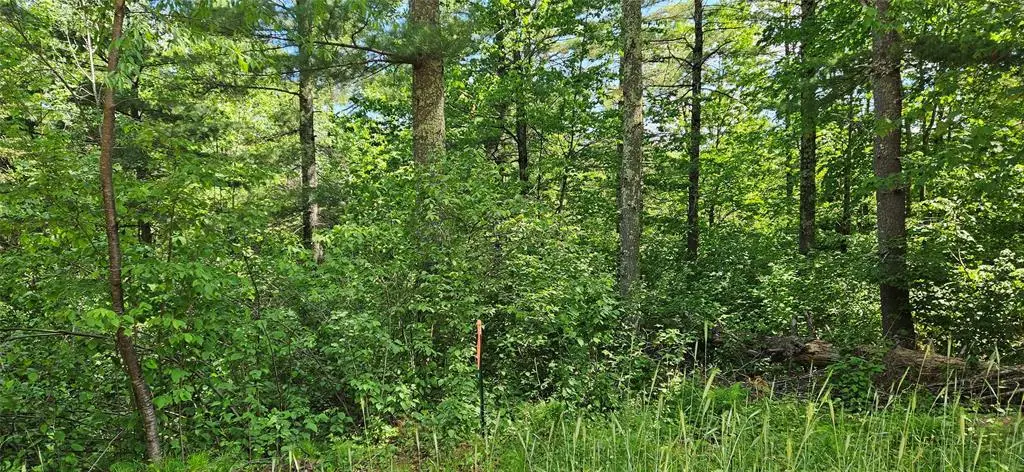 TBD Nordic Way, Cable, WI 54821 - #1