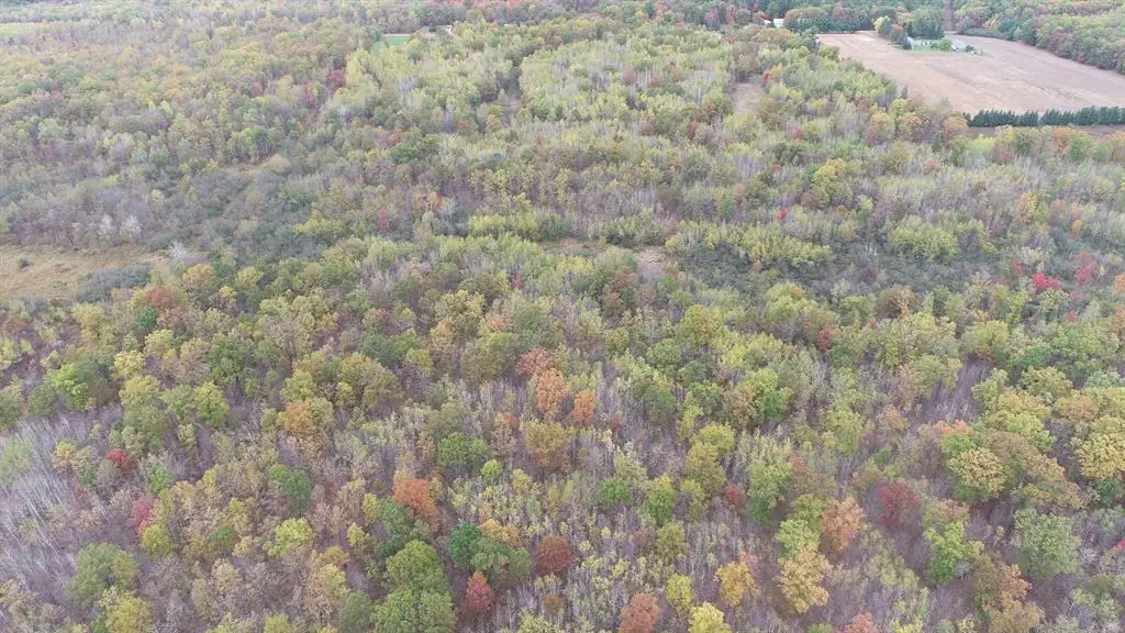 0 20th Avenue, Cadott, WI 54727 - #1