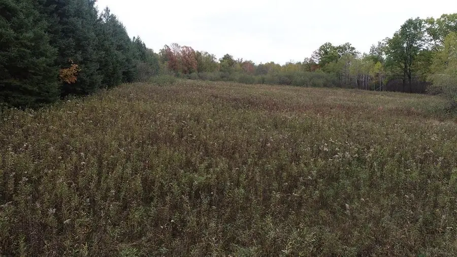 0 20th Avenue, Cadott, WI 54727 - #2