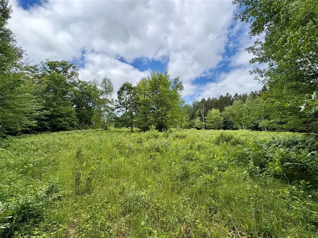 0 27th St., Iola, WI 54822 - #1
