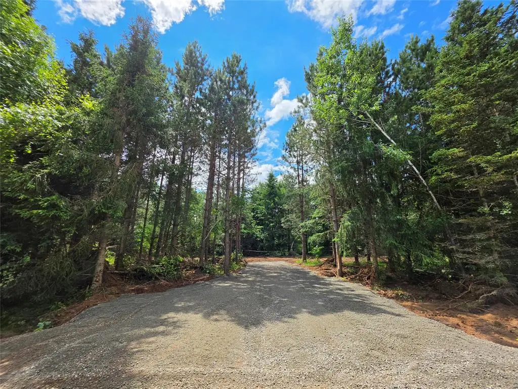 20 Acres Adams Road, Bruce, WI 54819 - #1