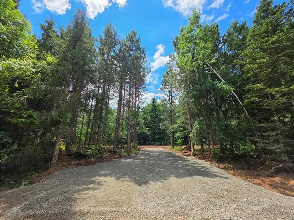 20 Acres Adams Road, Bruce, WI 54819