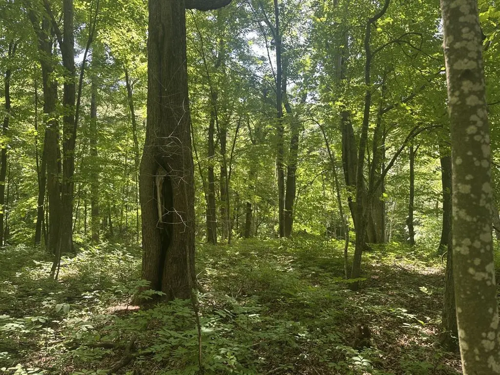 Lot 1 Becker Road, Elk Mound, WI 54739 - #1