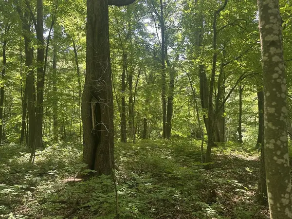 Lot 1 Becker Road, Elk Mound, WI 54739