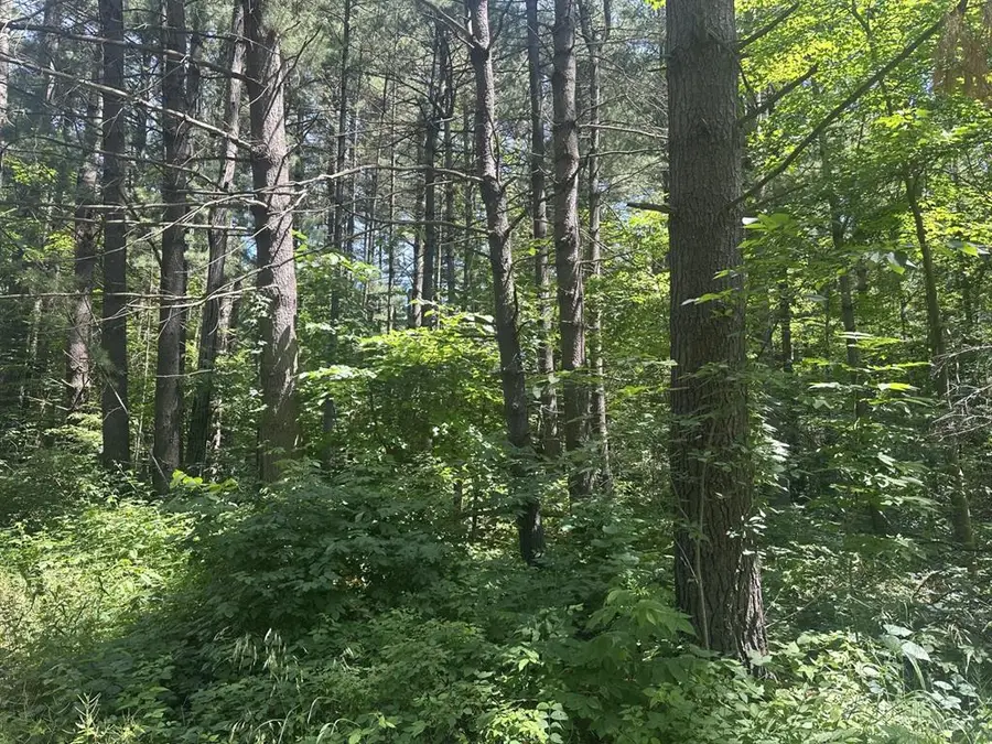 Lot 1 Becker Road, Elk Mound, WI 54739 - #2