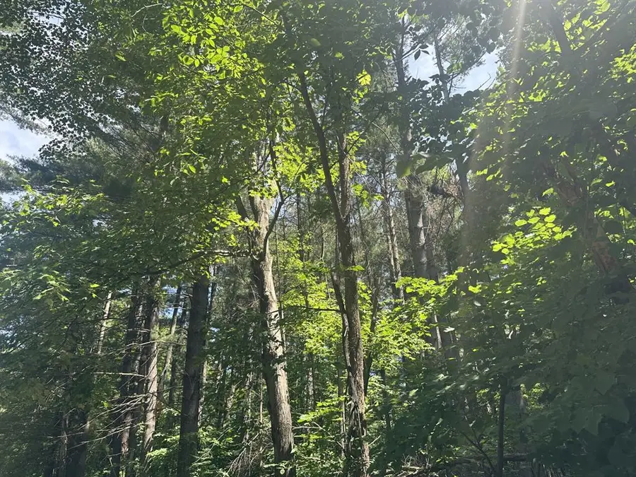Lot 1 Becker Road, Elk Mound, WI 54739 - #3