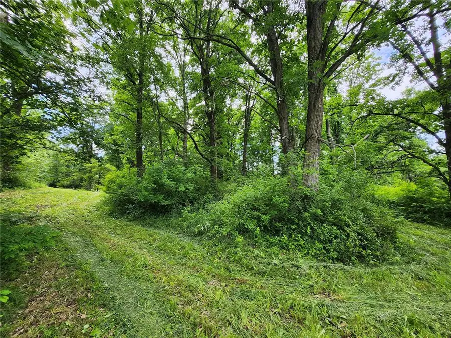 7 Acres Hwy F, Birchwood, WI 54817 - #3