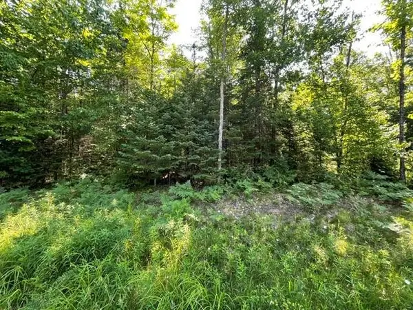 12552N County Hwy T, Hayward, WI 54843