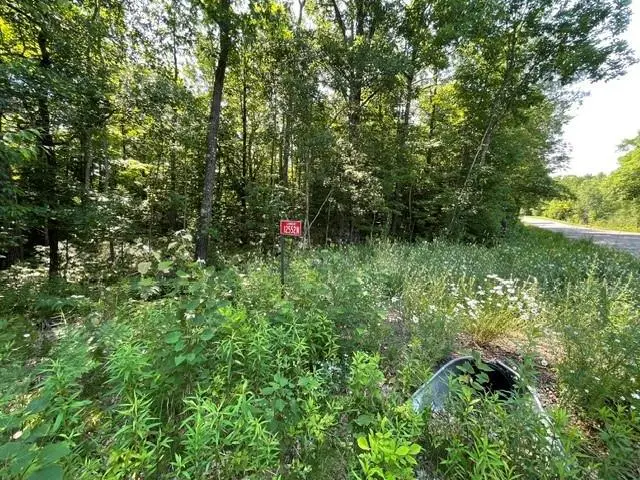 12552N County Hwy T, Hayward, WI 54843 - #2