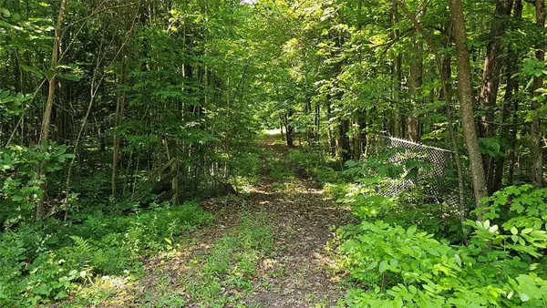 4687 Valesh Road, Couderay, WI 54828