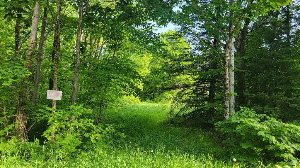 28A On Doland Road, Winter, WI 54896 - #1