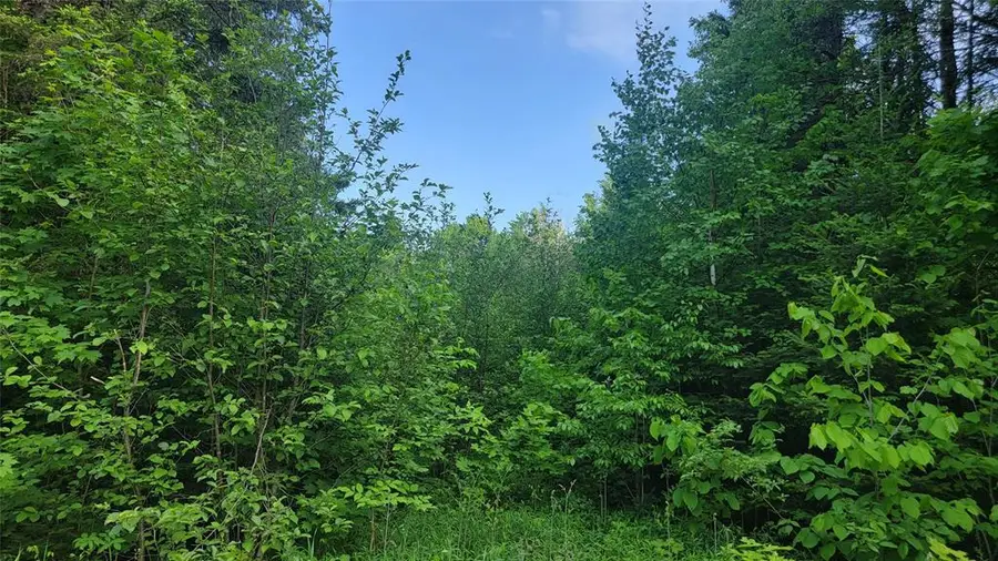 28A On Doland Road, Winter, WI 54896 - #2