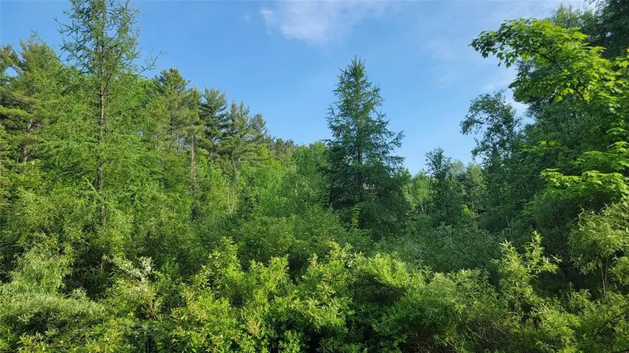 28A On Doland Road, Winter, WI 54896 - #3