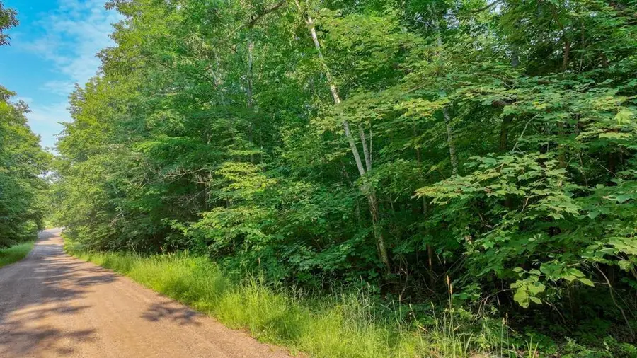 40.00 Acres 30th Avenue, Chetek, WI 54728 - #3
