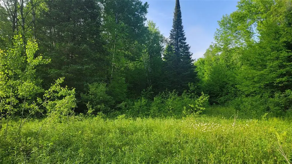 40A On Doland Rd, Winter, WI 54896 - #1