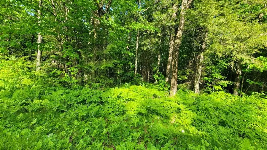 40A On Doland Rd, Winter, WI 54896 - #3