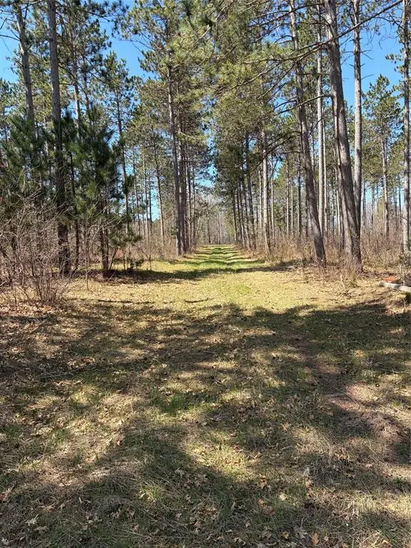 TBD AA Mann, Spooner, WI 54801 - #3