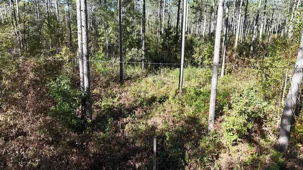 TBD BB Mann Road, Spooner, WI 54801