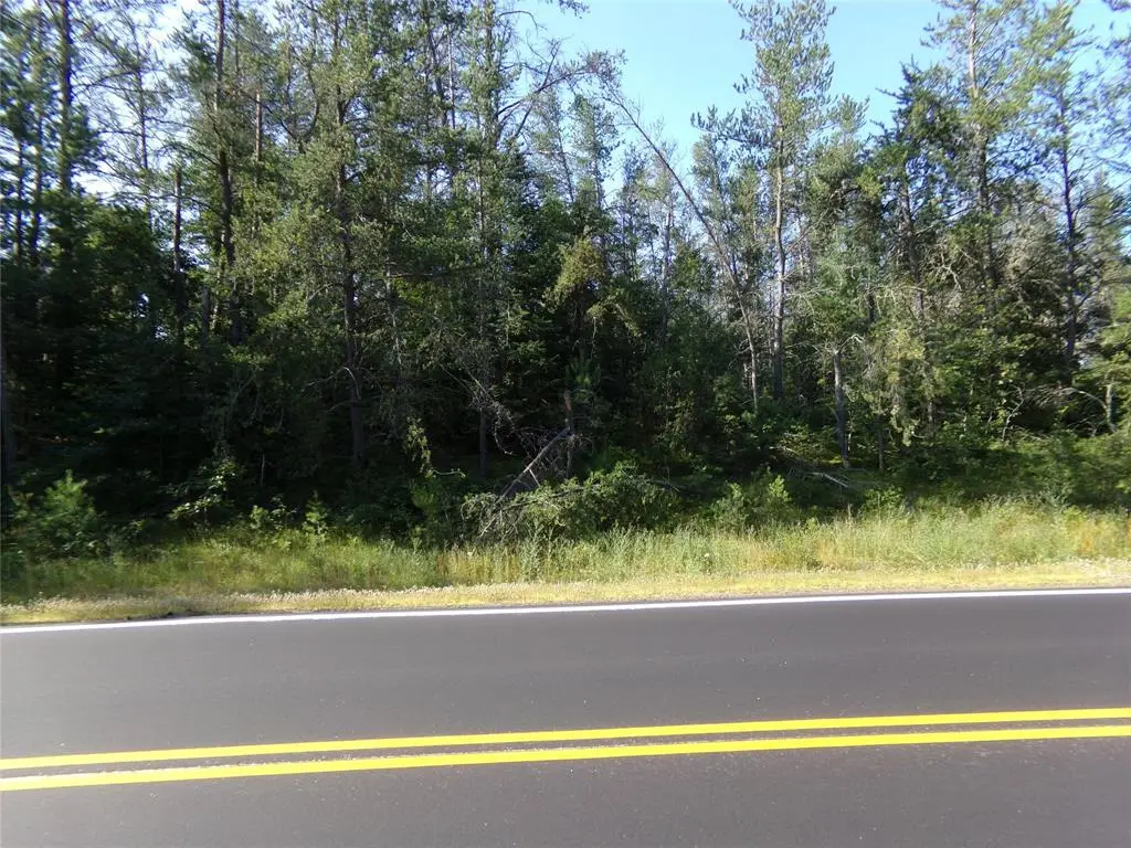 TBD Baldwin Avenue, Solon Springs, WI 54873 - #1