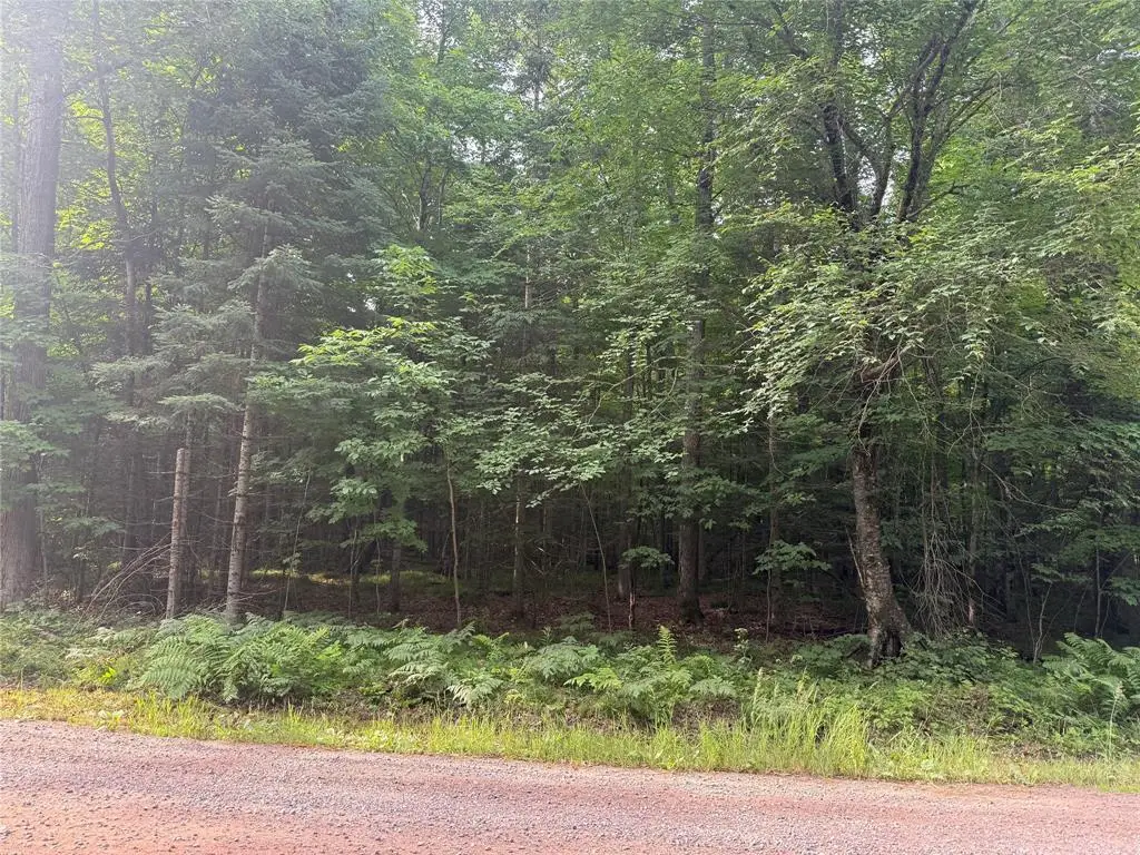 Lot 5 Flambeau Point Road, Ladysmith, WI 54848 - #1