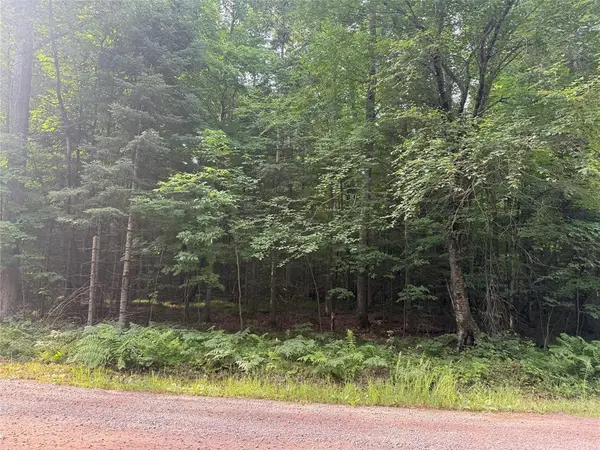 Lot 5 Flambeau Point Road, Ladysmith, WI 54848