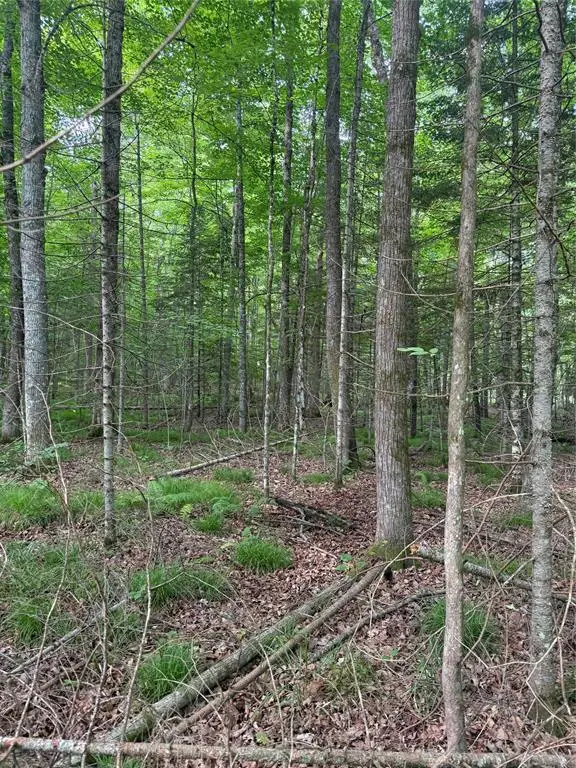 Lot 5 Flambeau Point Road, Ladysmith, WI 54848 - #2