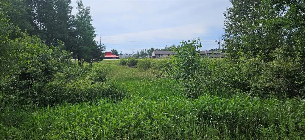 Lot A Windrose Lane, Hayward, WI 54843 - #1
