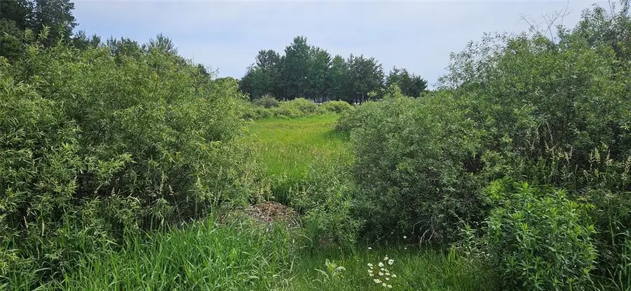 Lot B Windrose Lane, Hayward, WI 54843 - #3