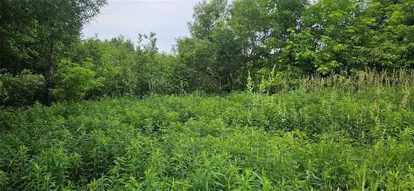 Lot C Windrose Lane, Hayward, WI 54843