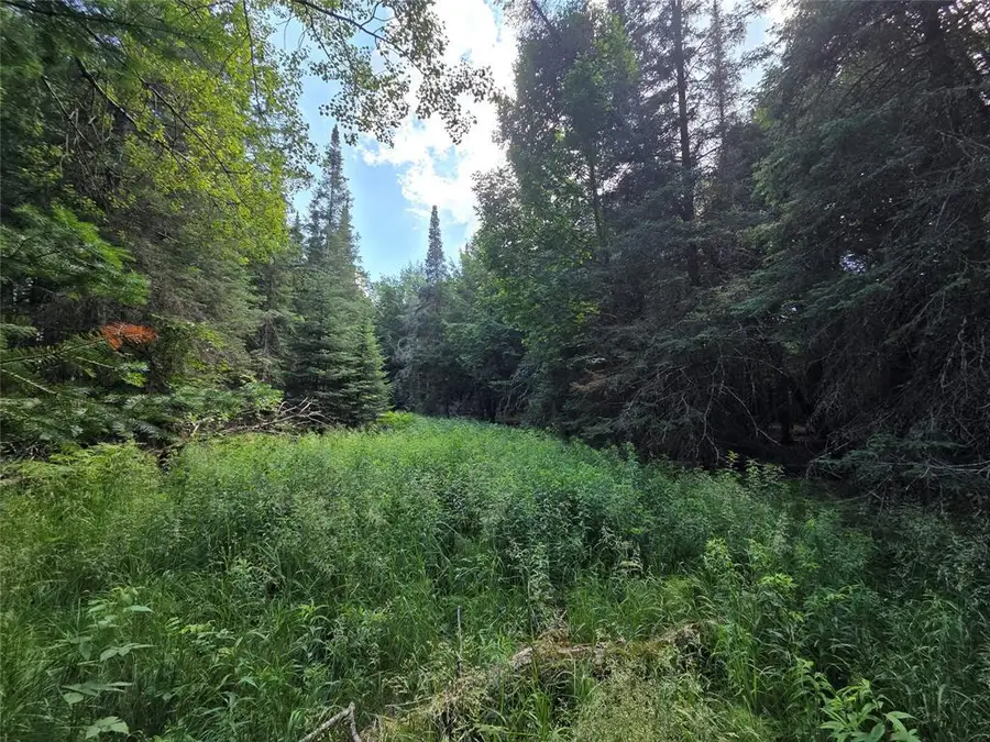 On S Aspen Road, Phillips, WI 54555 - #2