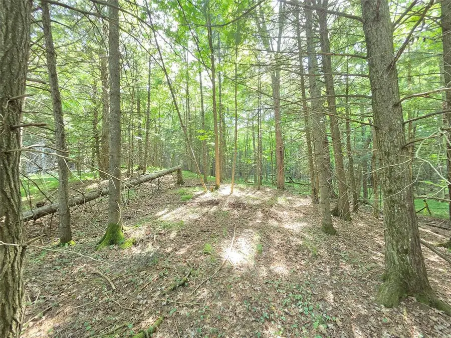 On S Aspen Road, Phillips, WI 54555 - #3