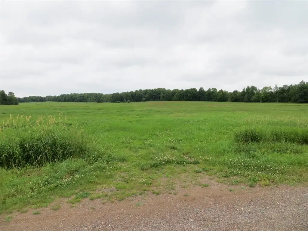 xx6 190th Avenue, Stanley, WI 54768 - #1