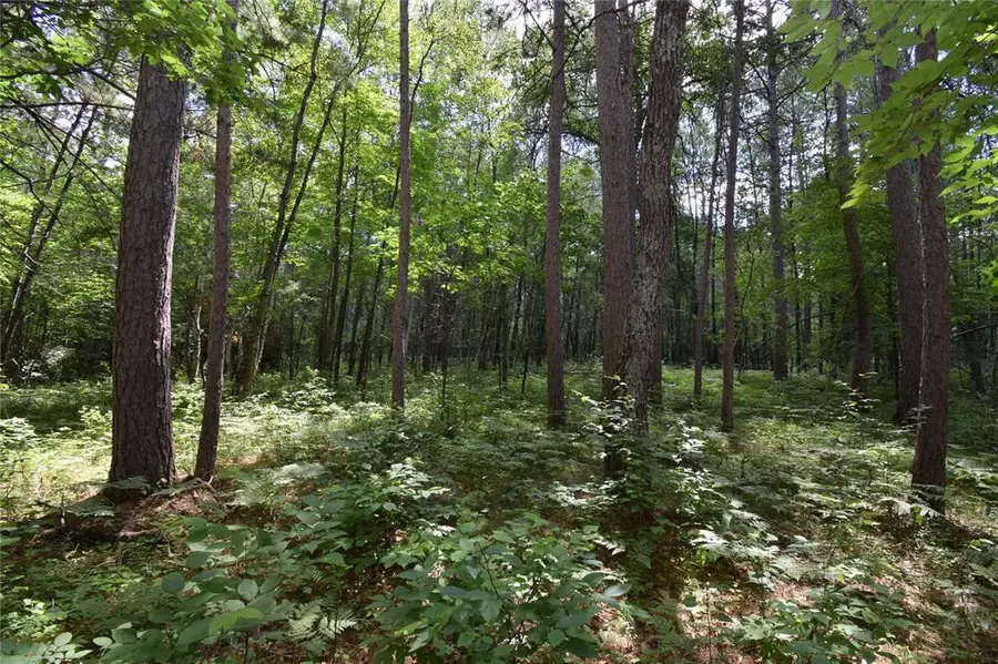 Lot 2 Saylors Lane, Siren, WI 54872 - #2