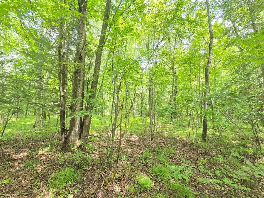 On Woodland Lane, Phillips, WI 54555 - #2