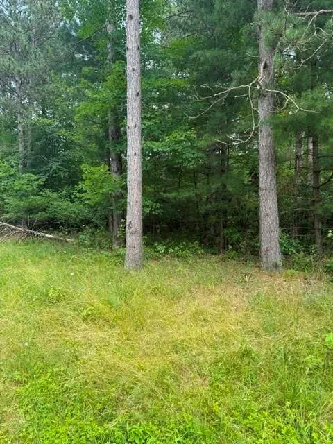 0 West Road, Black River Falls, WI 54615 - #2
