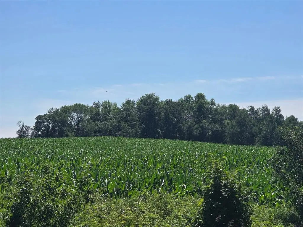 X 110th Street, Frederic, WI 54837 - #1