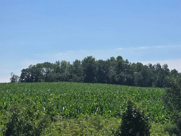 X 110th Street, Frederic, WI 54837