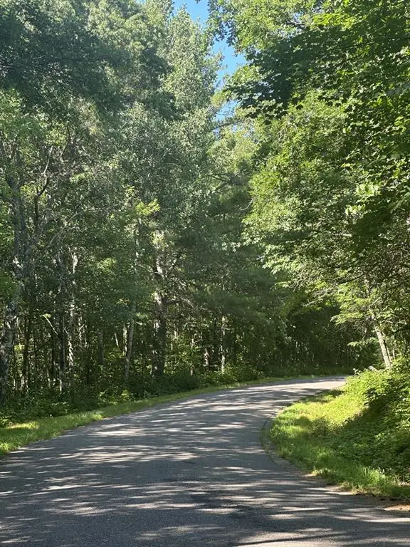Lot 1 271st Street, Holcombe, WI 54745 - #2