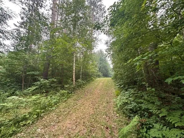 0 Kelly Lake Road, Barnes, WI 54873 - #3