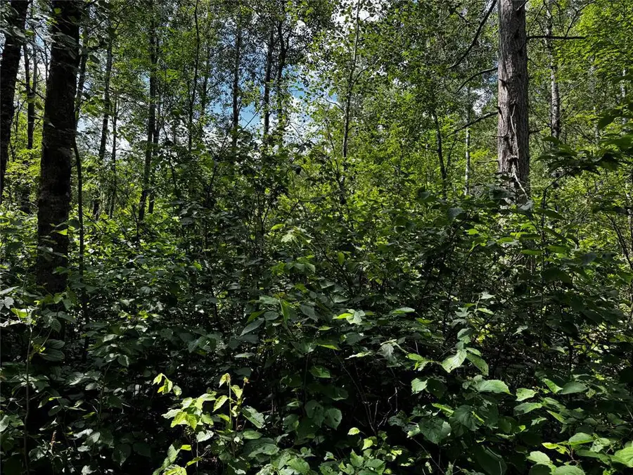 Lot 12 Cassandra Road, Hayward, WI 54843 - #3