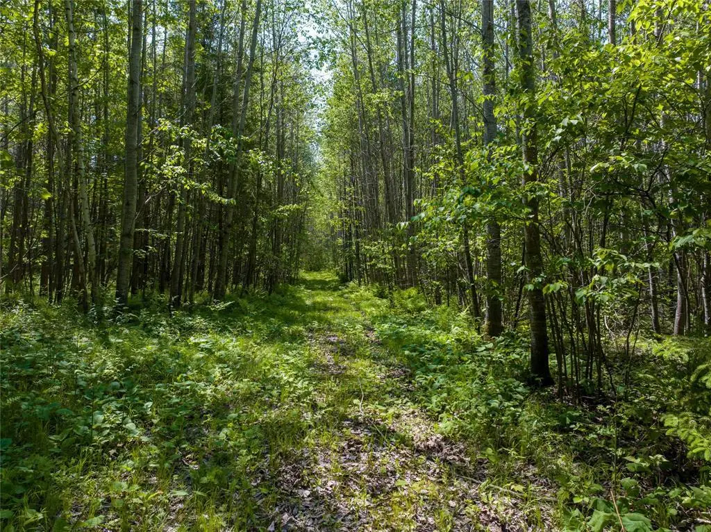 14195 & 14199 County Highway M, Cable, WI 54821 - #1