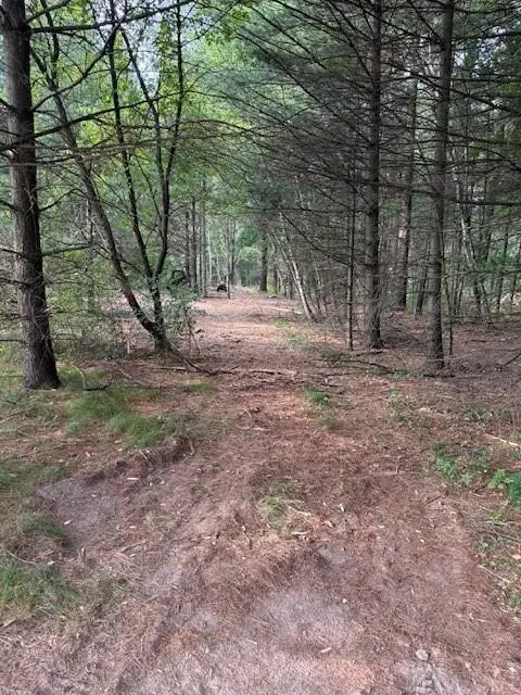 Lot 1 24 3/4 Street, Chetek, WI 54728 - #1