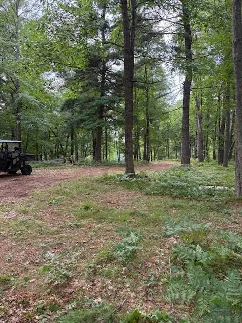 Lot 1 24 3/4 Street, Chetek, WI 54728 - #2