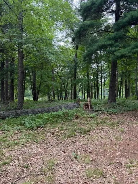 Lot 1 24 3/4 Street, Chetek, WI 54728 - #3